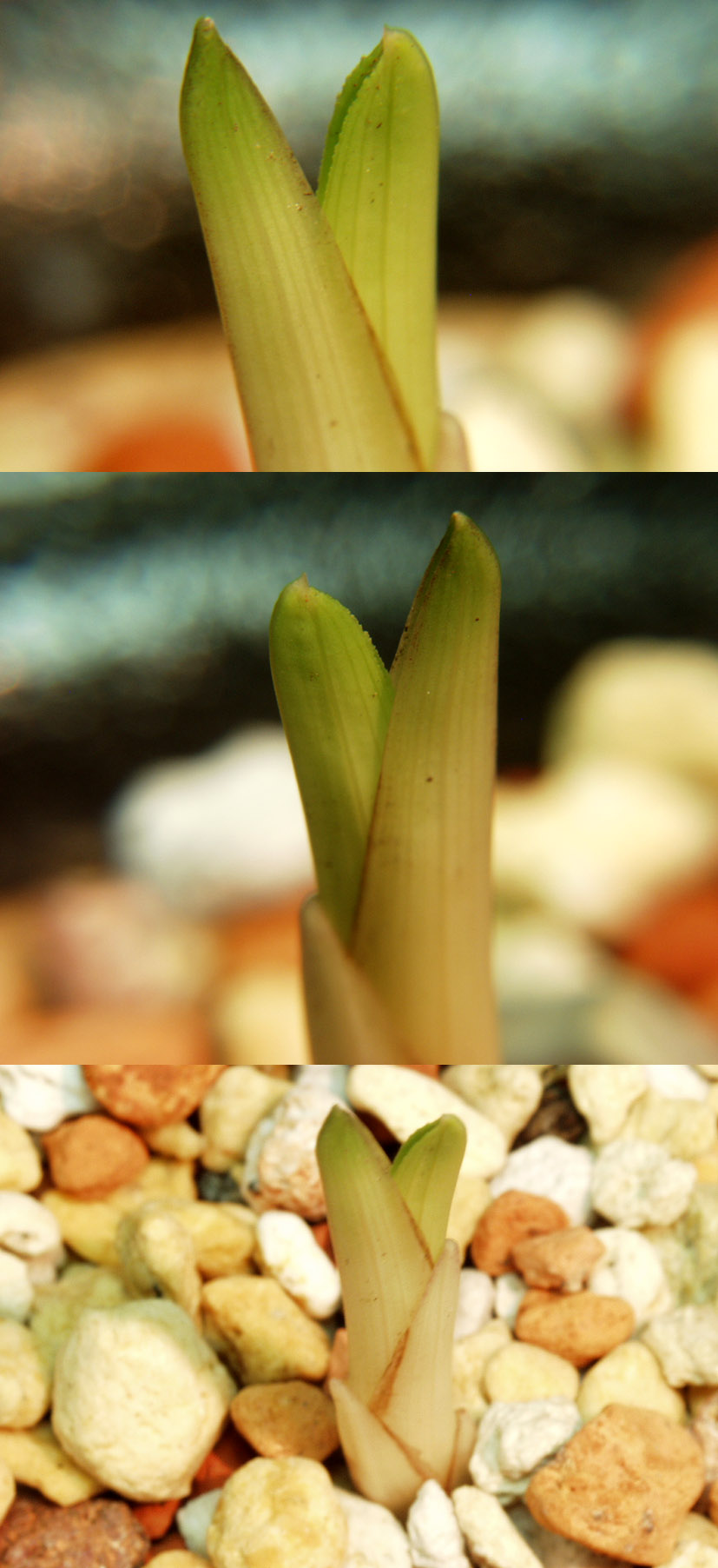 ������ ū������ �� �� �ֽ��ϴ�.