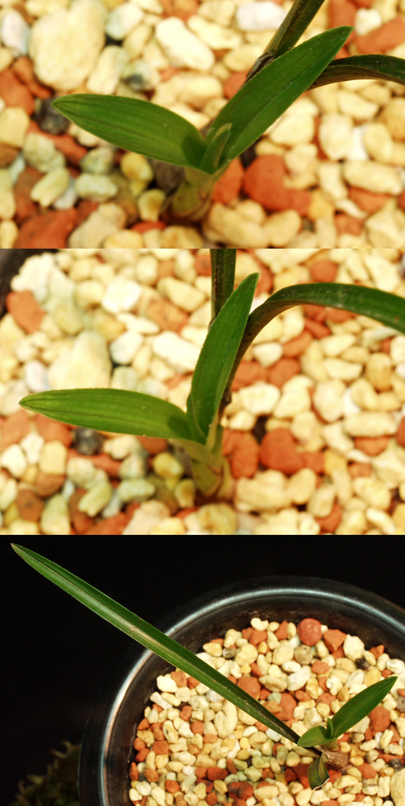 ������ ū������ �� �� �ֽ��ϴ�.