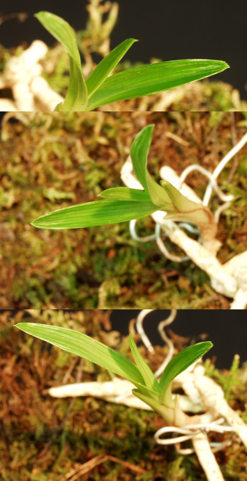 ������ ū������ �� �� �ֽ��ϴ�.