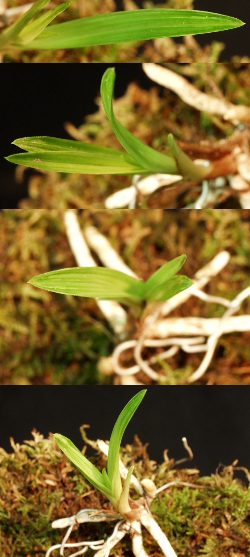 ������ ū������ �� �� �ֽ��ϴ�.