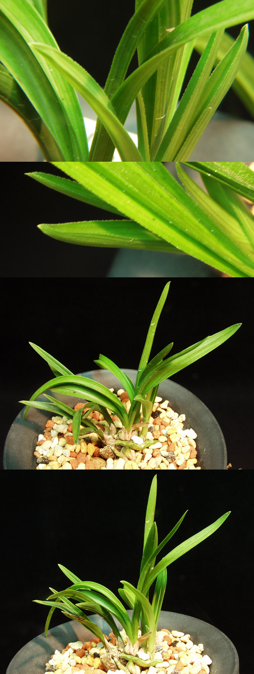 ������ ū������ �� �� �ֽ��ϴ�.