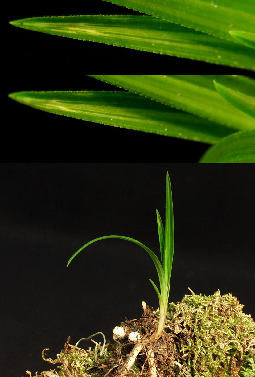 ������ ū������ �� �� �ֽ��ϴ�.