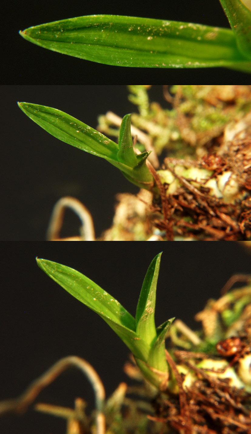 ������ ū������ �� �� �ֽ��ϴ�.