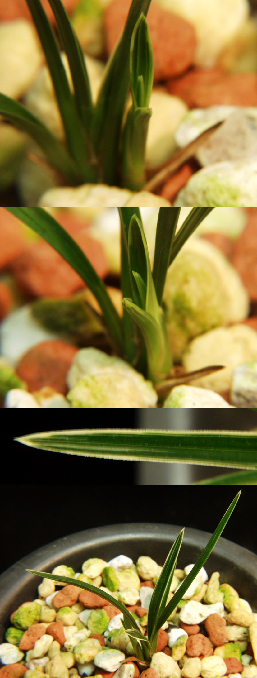 ������ ū������ �� �� �ֽ��ϴ�.