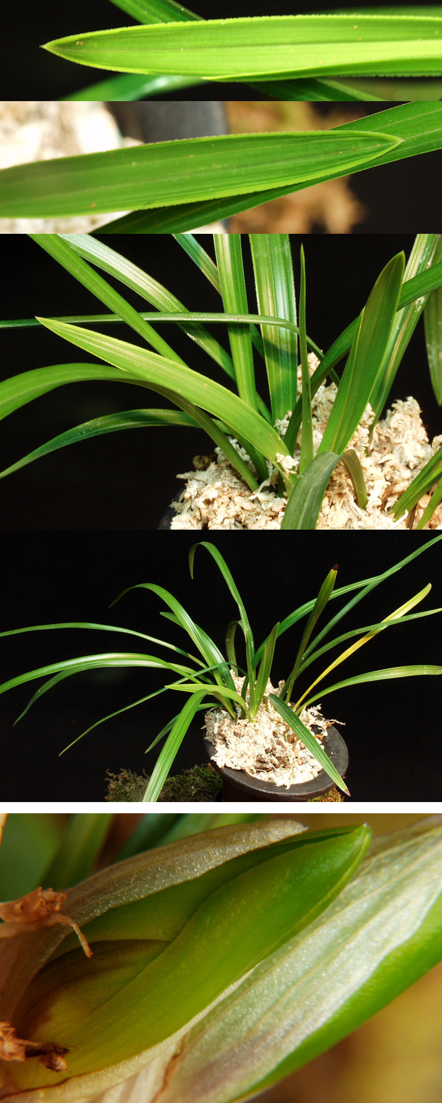 ������ ū������ �� �� �ֽ��ϴ�.