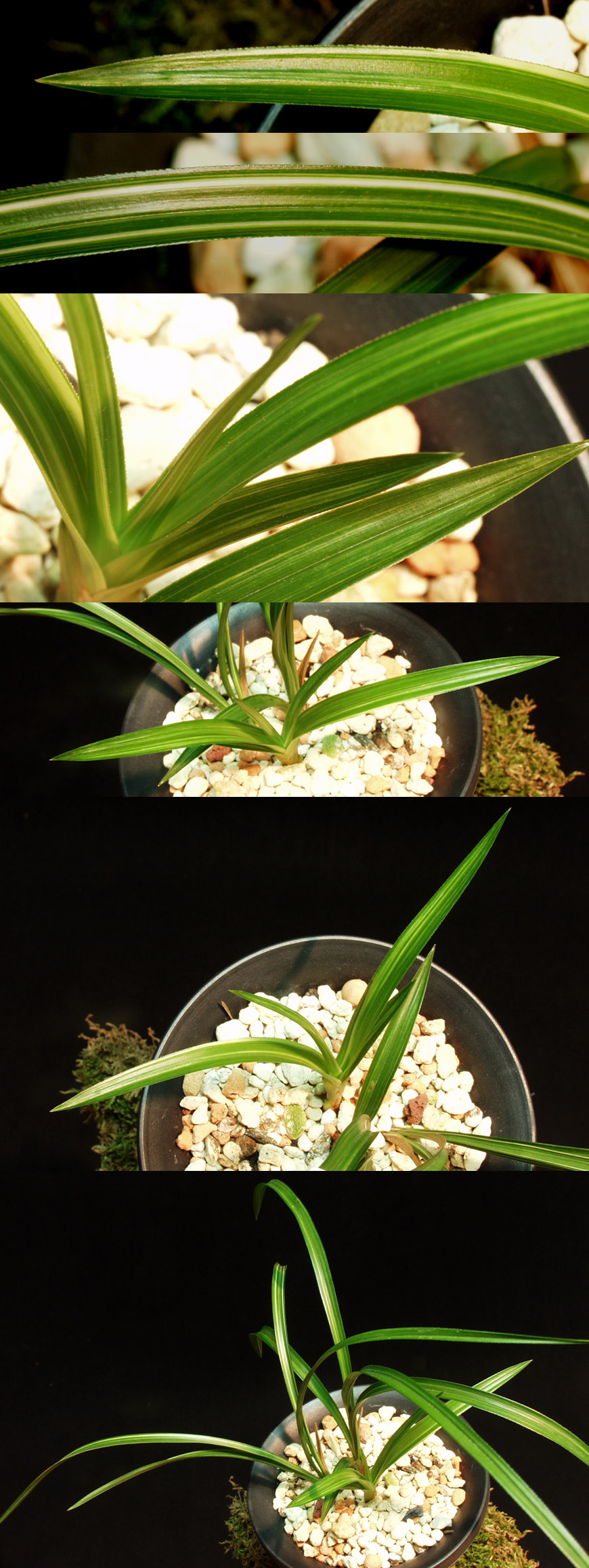 ������ ū������ �� �� �ֽ��ϴ�.