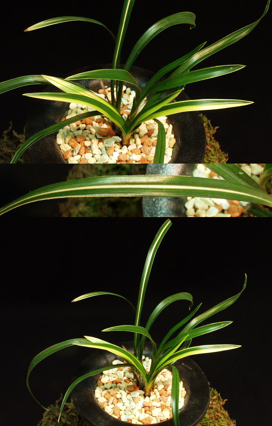 ������ ū������ �� �� �ֽ��ϴ�.