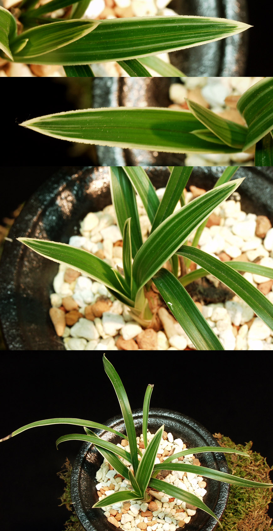 ������ ū������ �� �� �ֽ��ϴ�.