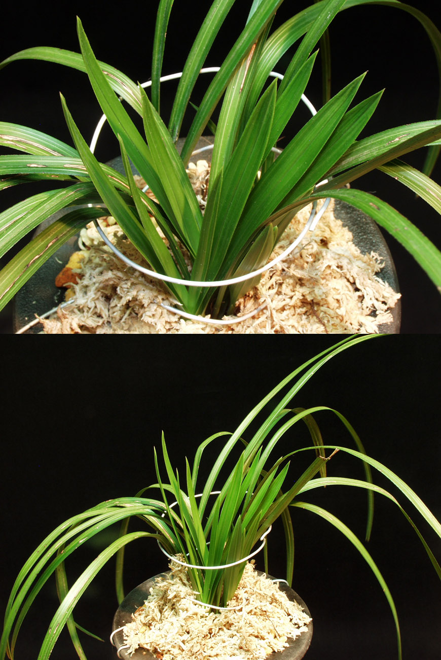 ������ ū������ �� �� �ֽ��ϴ�.