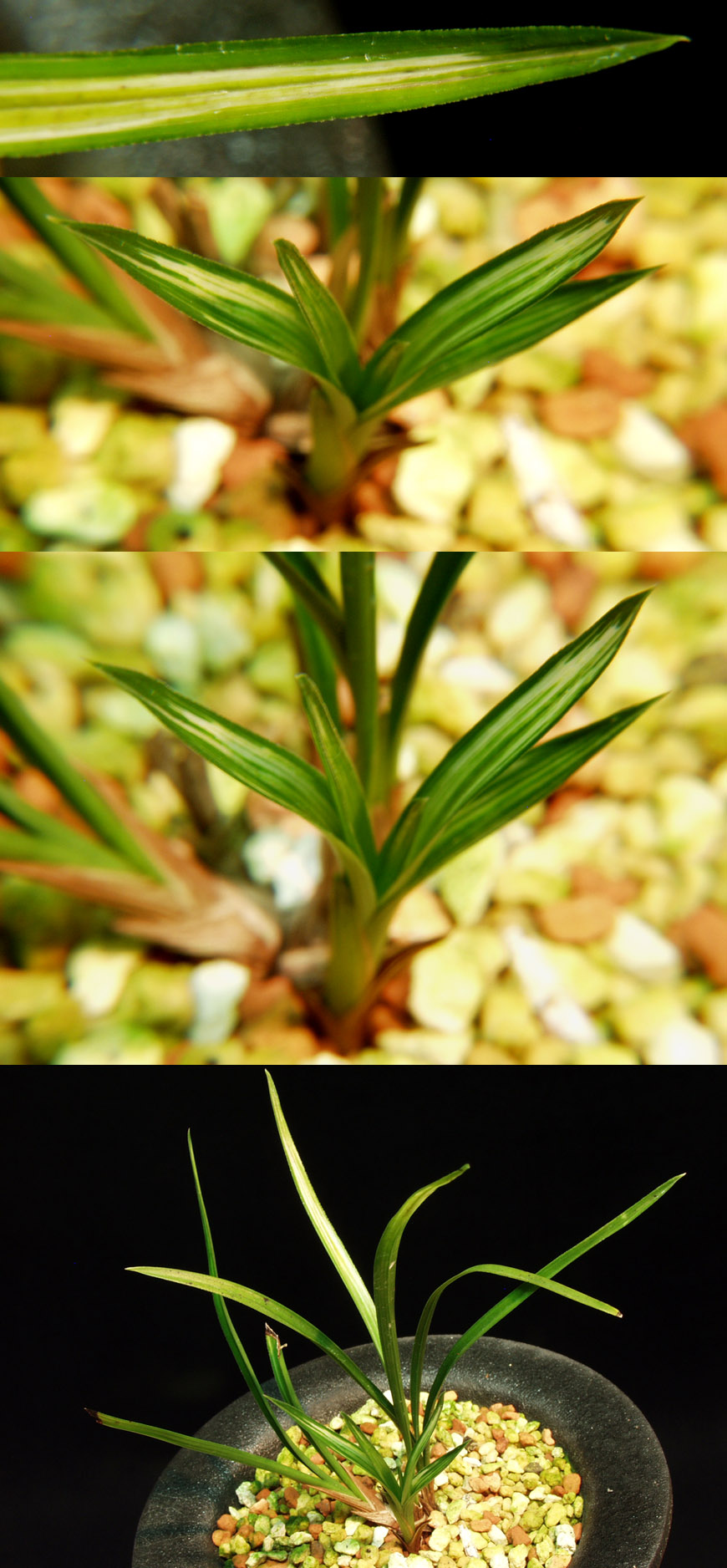 ������ ū������ �� �� �ֽ��ϴ�.