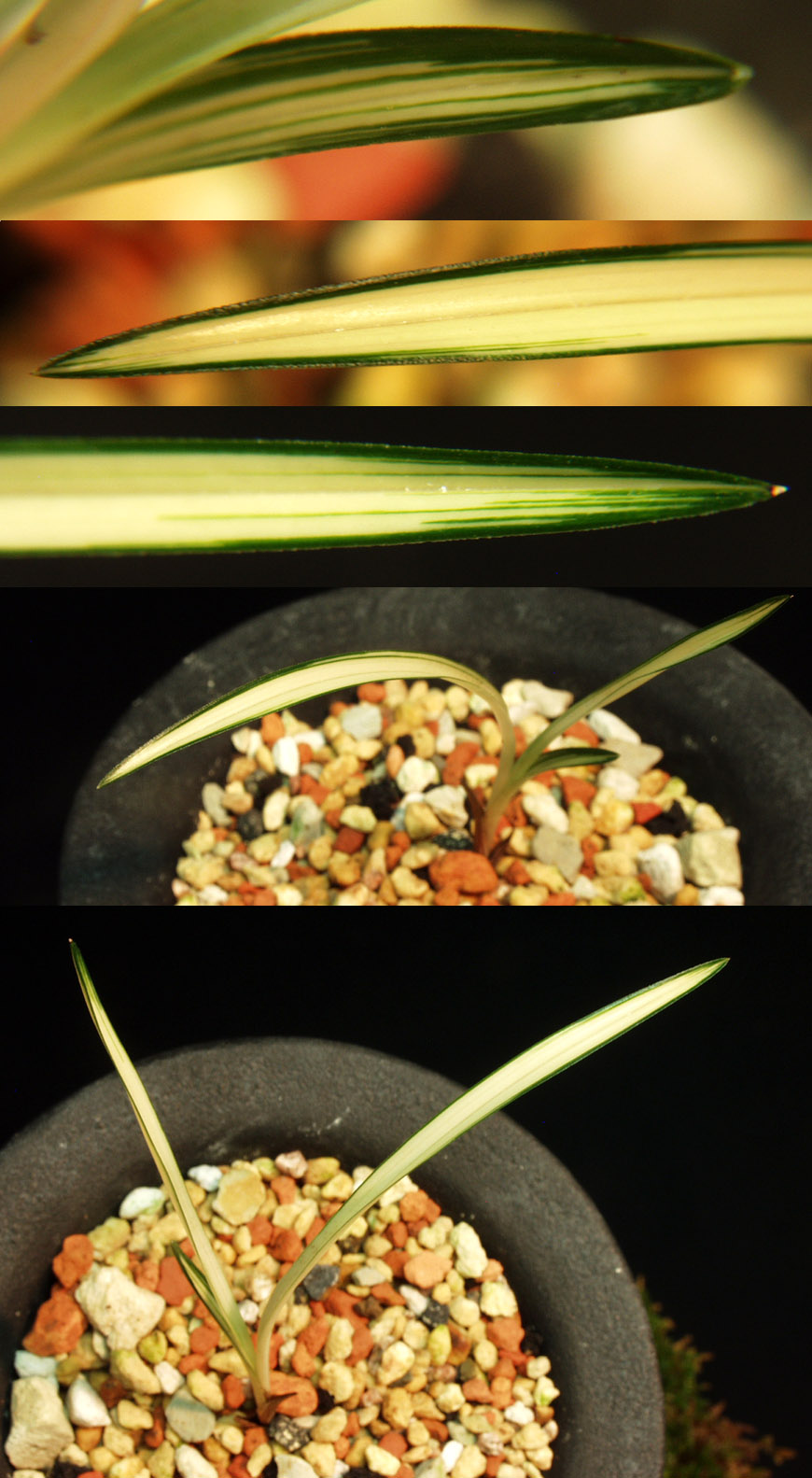 ������ ū������ �� �� �ֽ��ϴ�.