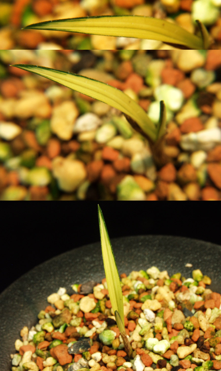 ������ ū������ �� �� �ֽ��ϴ�.