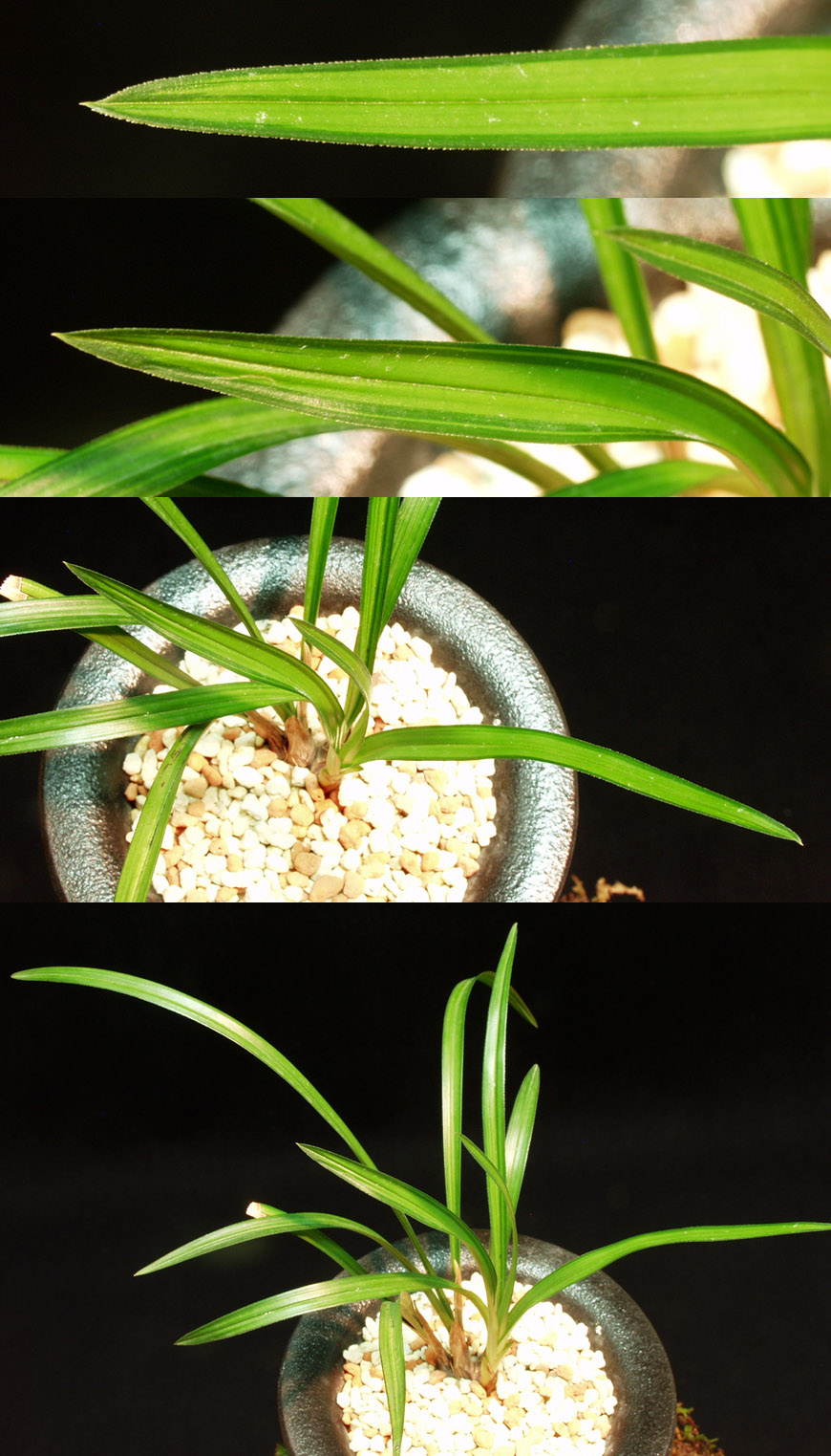 ������ ū������ �� �� �ֽ��ϴ�.