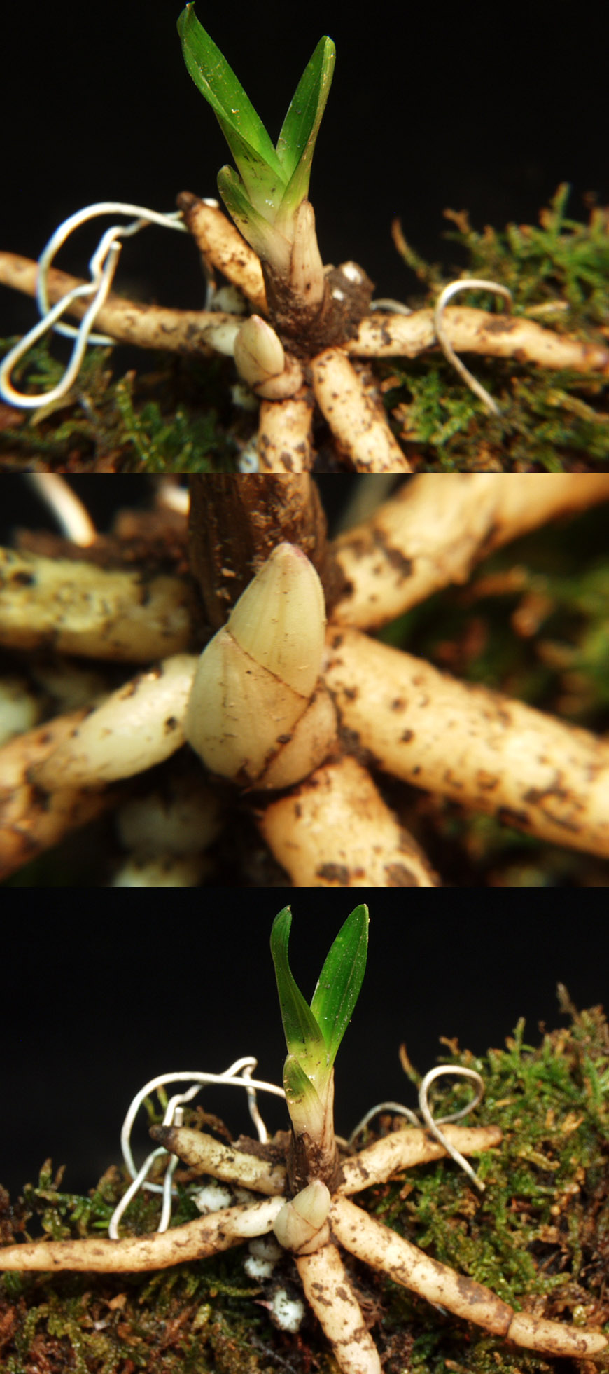 ������ ū������ �� �� �ֽ��ϴ�.