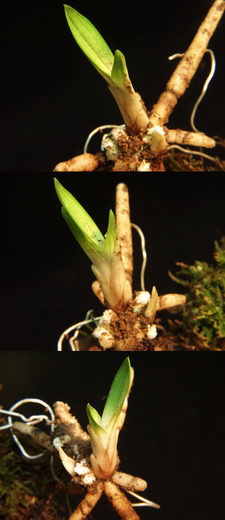 ������ ū������ �� �� �ֽ��ϴ�.