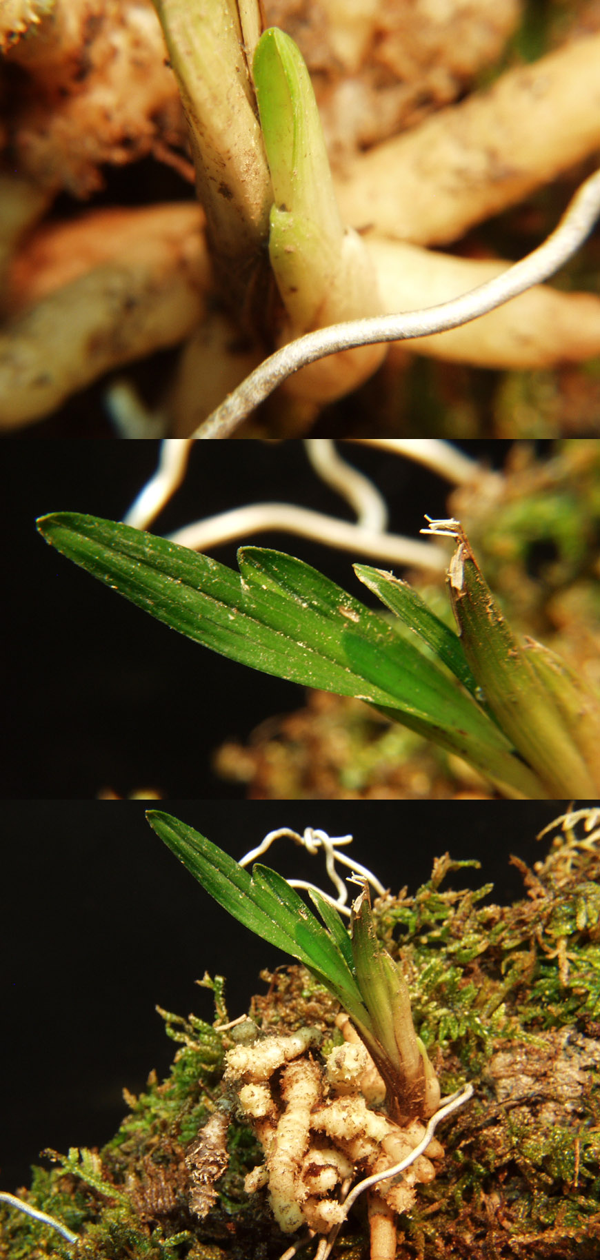 ������ ū������ �� �� �ֽ��ϴ�.