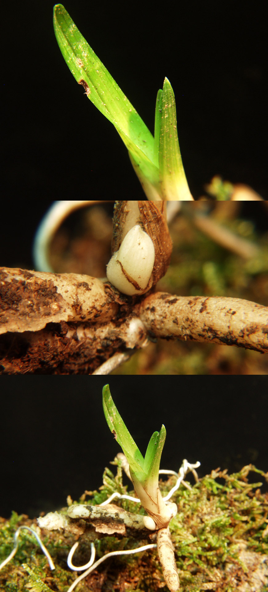 ������ ū������ �� �� �ֽ��ϴ�.