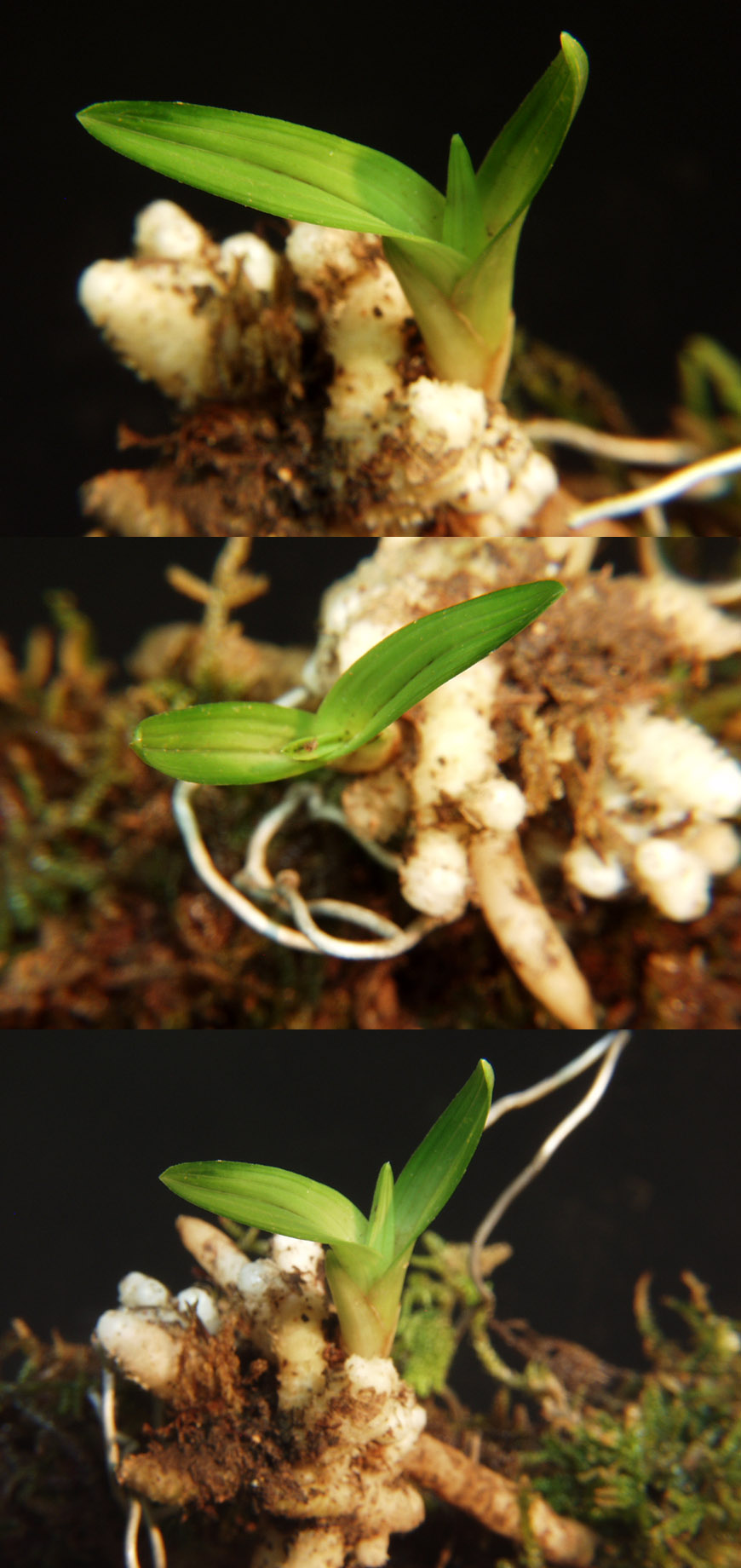 ������ ū������ �� �� �ֽ��ϴ�.