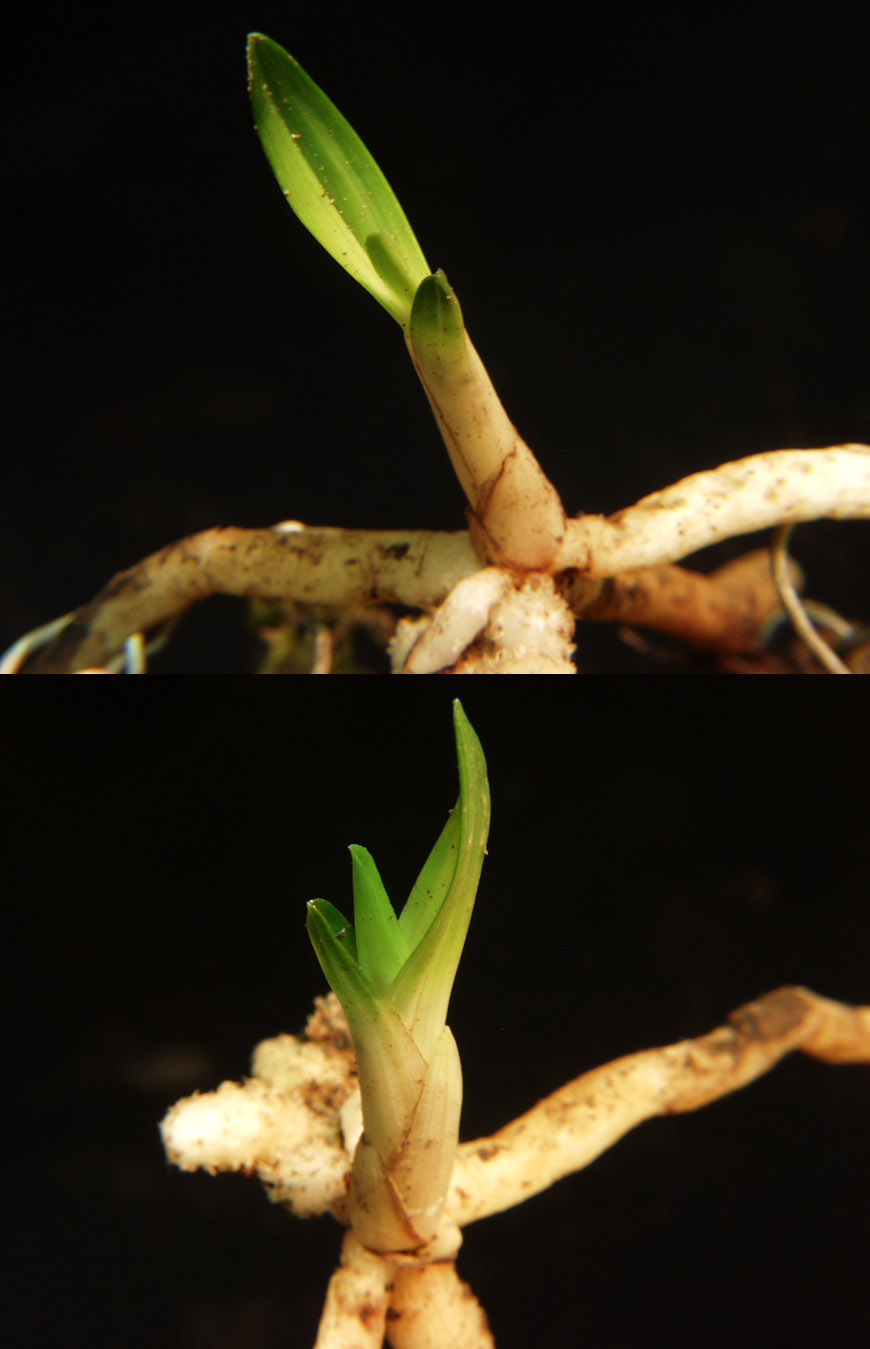 ������ ū������ �� �� �ֽ��ϴ�.