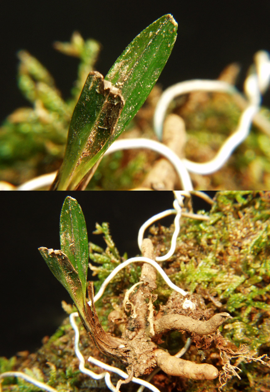 ������ ū������ �� �� �ֽ��ϴ�.