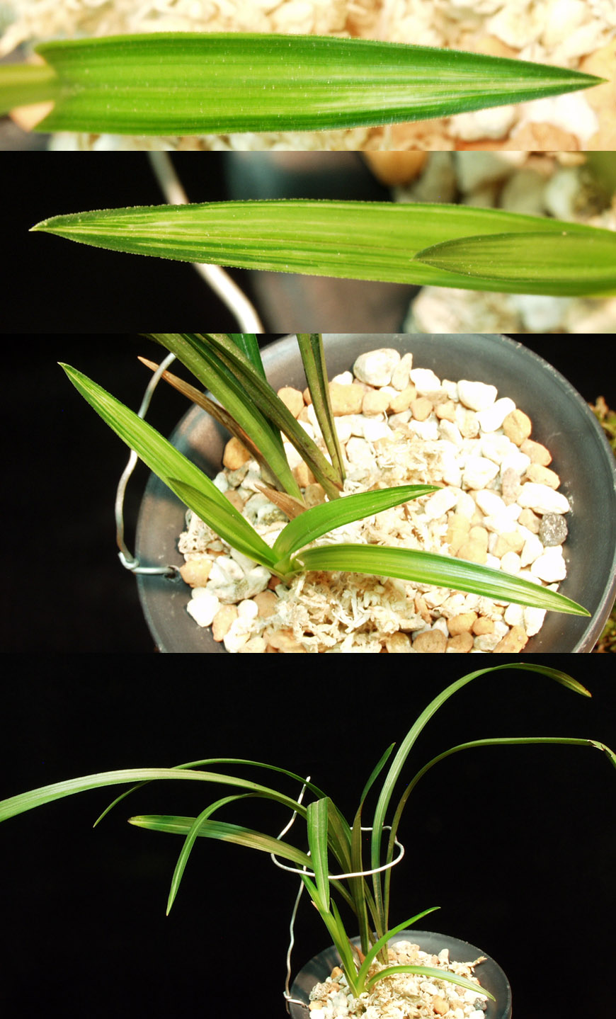 ������ ū������ �� �� �ֽ��ϴ�.