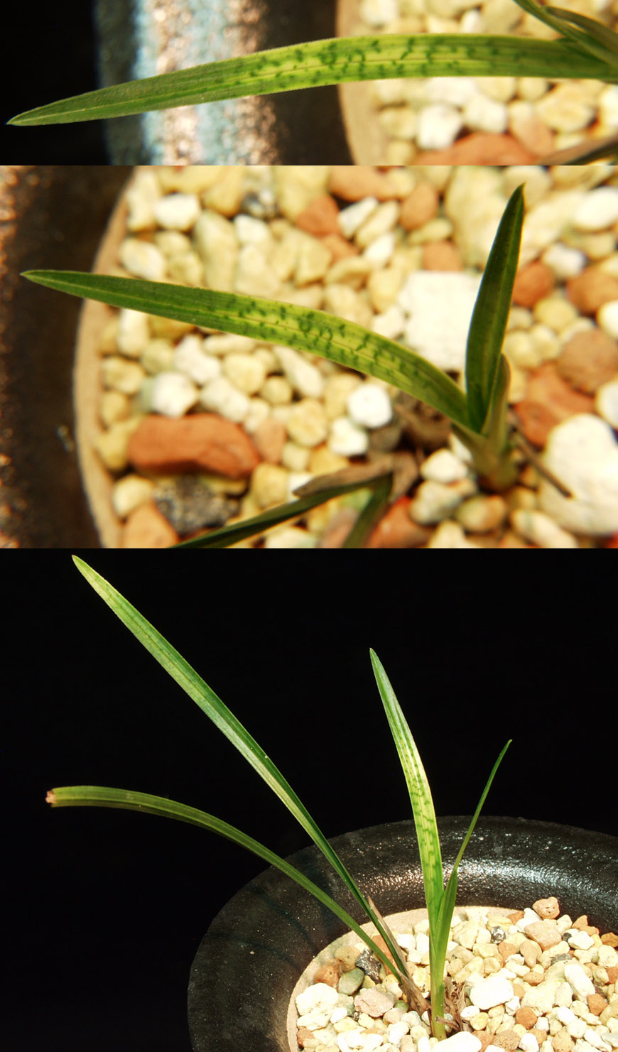 ������ ū������ �� �� �ֽ��ϴ�.