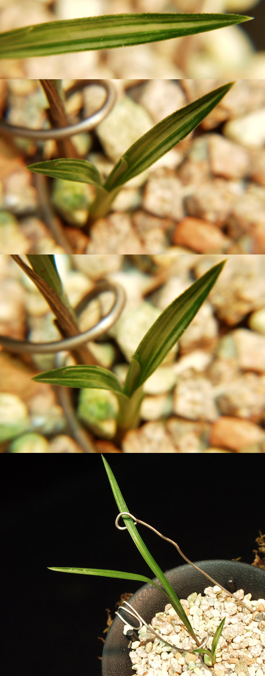 ������ ū������ �� �� �ֽ��ϴ�.