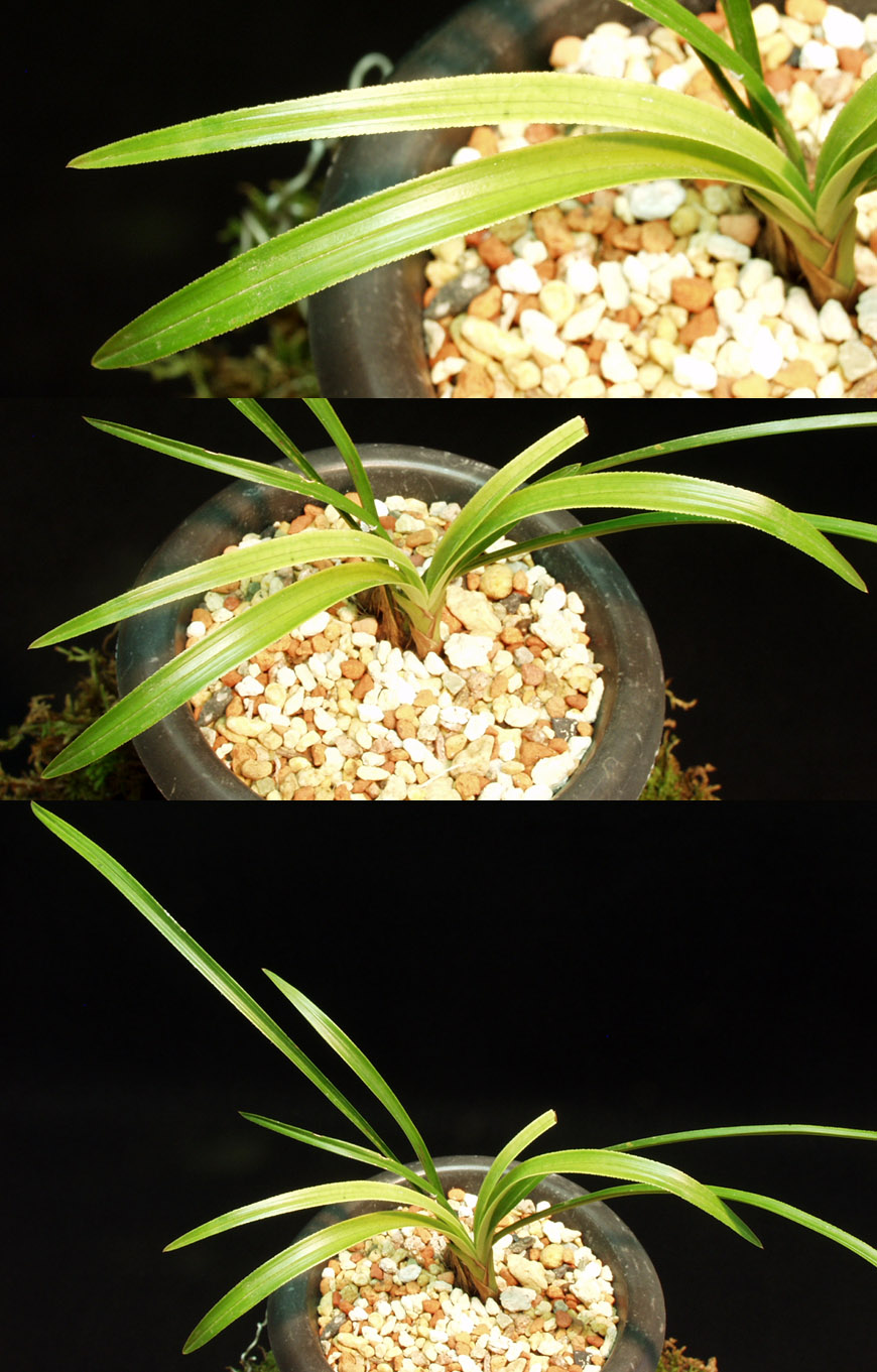 ������ ū������ �� �� �ֽ��ϴ�.