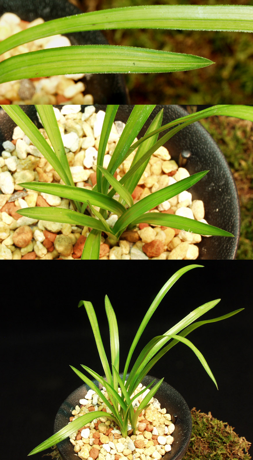 ������ ū������ �� �� �ֽ��ϴ�.