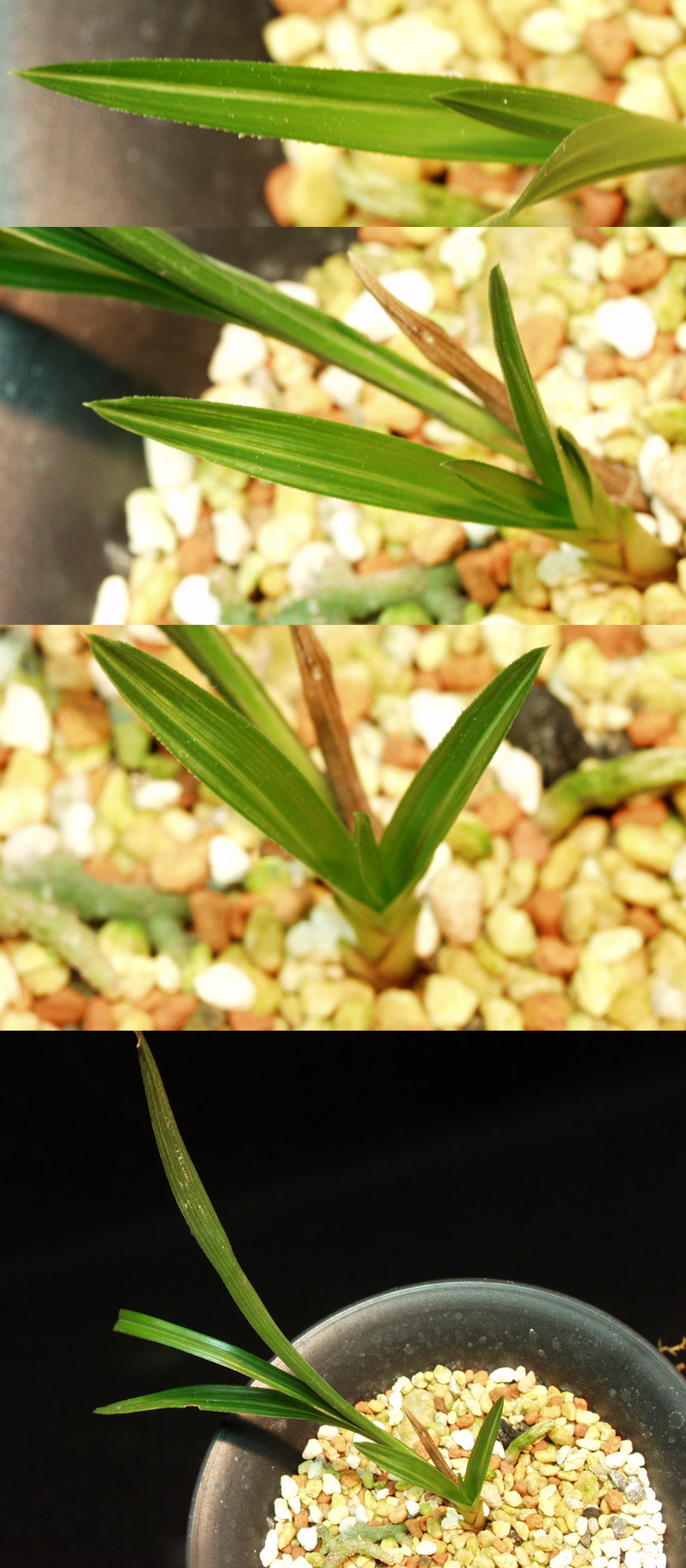 ������ ū������ �� �� �ֽ��ϴ�.