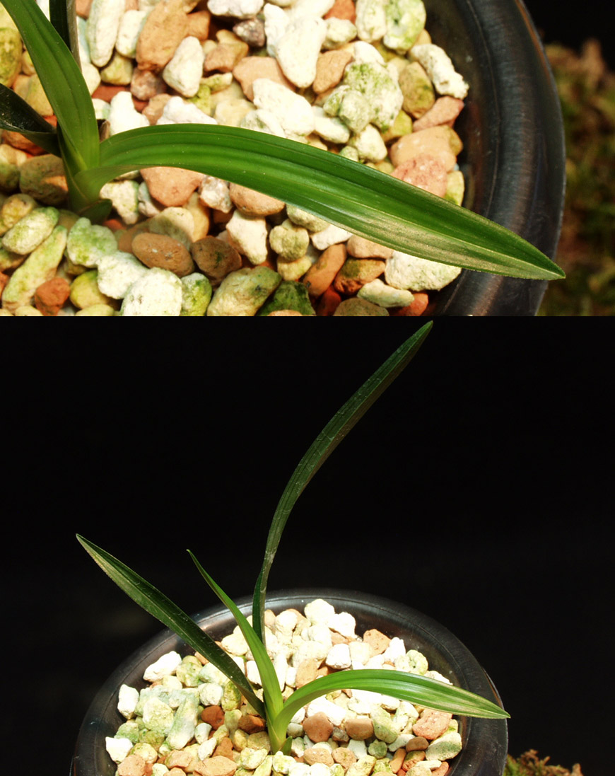 ������ ū������ �� �� �ֽ��ϴ�.