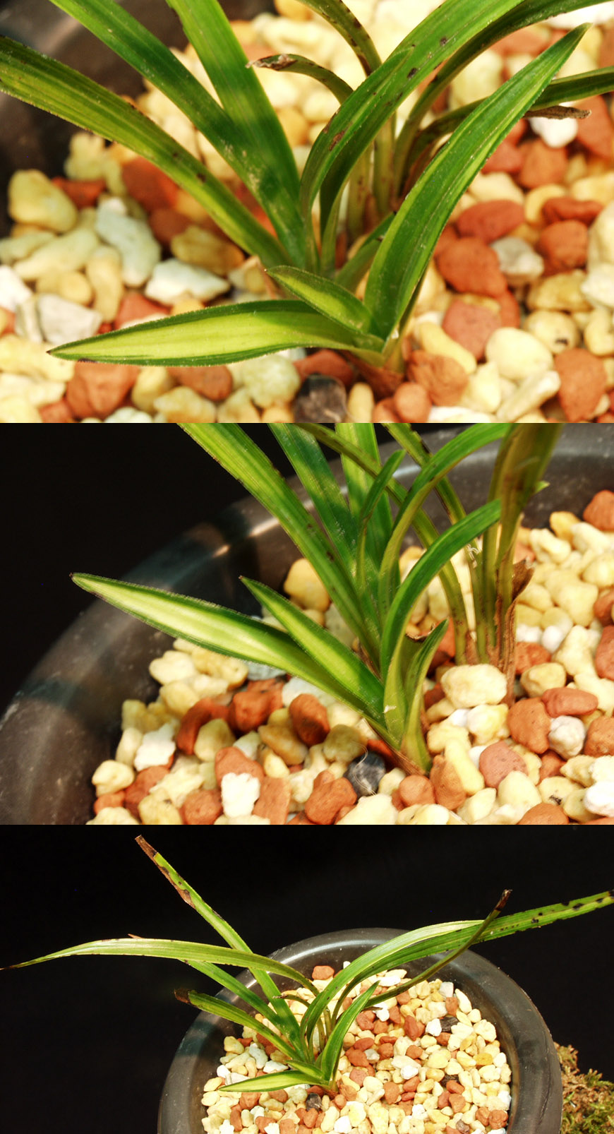 ������ ū������ �� �� �ֽ��ϴ�.