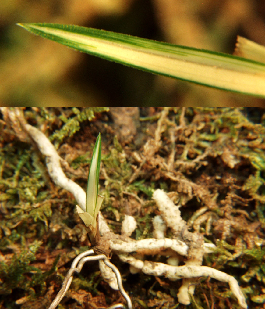 ������ ū������ �� �� �ֽ��ϴ�.