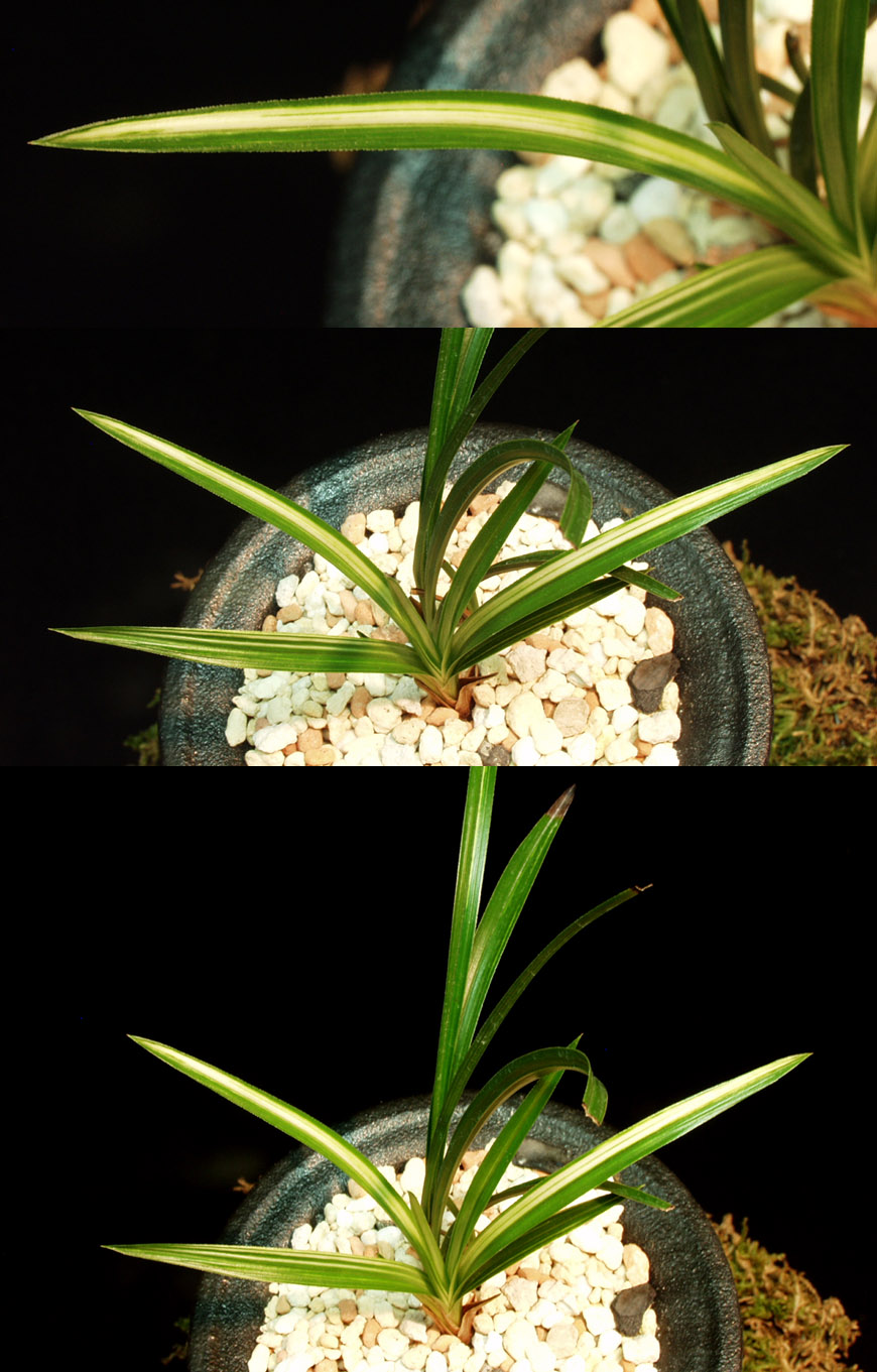 ������ ū������ �� �� �ֽ��ϴ�.