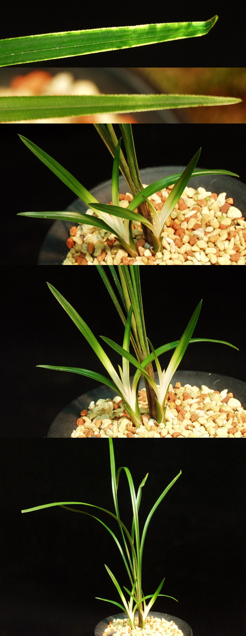 ������ ū������ �� �� �ֽ��ϴ�.