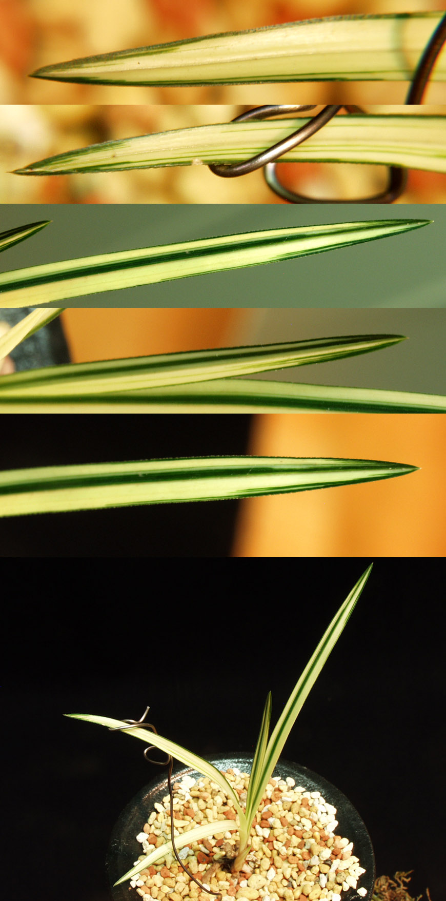 ������ ū������ �� �� �ֽ��ϴ�.