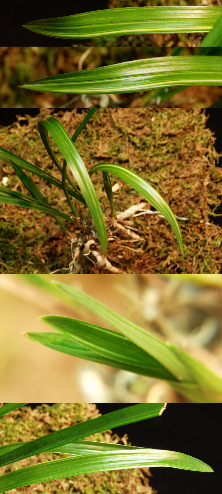 ������ ū������ �� �� �ֽ��ϴ�.