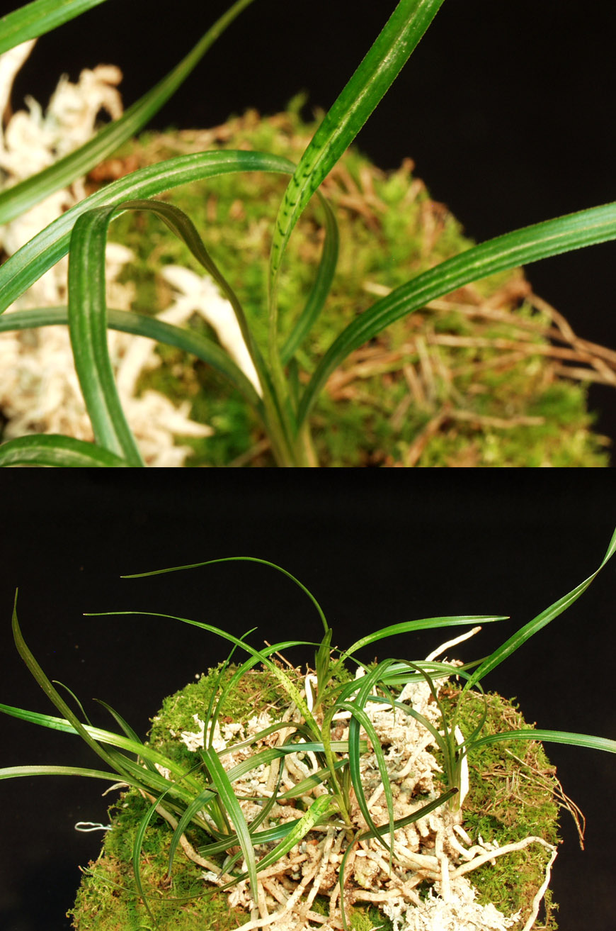 ������ ū������ �� �� �ֽ��ϴ�.