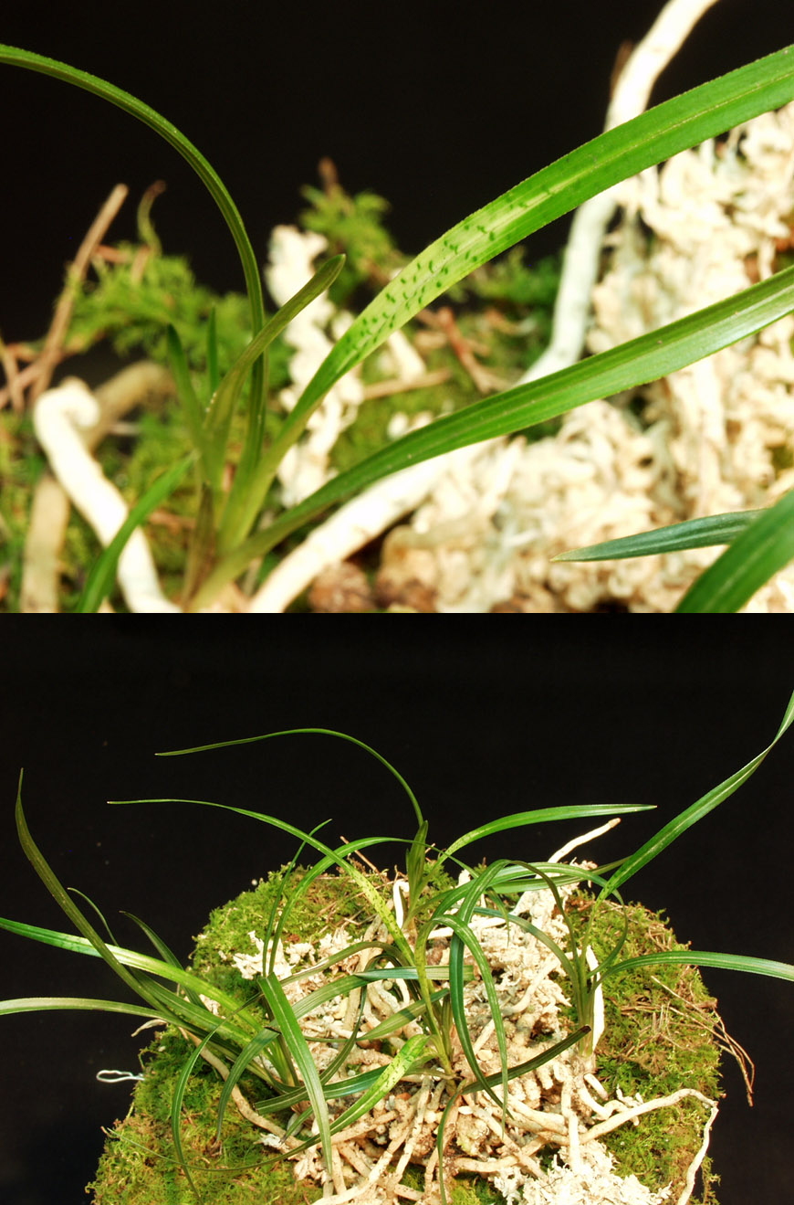 ������ ū������ �� �� �ֽ��ϴ�.