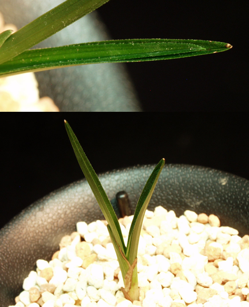 ������ ū������ �� �� �ֽ��ϴ�.