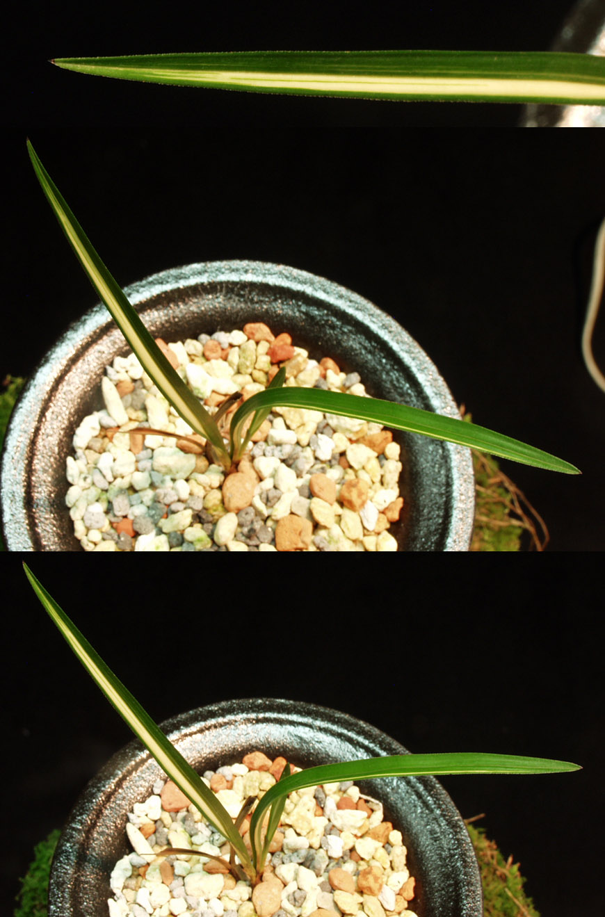 ������ ū������ �� �� �ֽ��ϴ�.