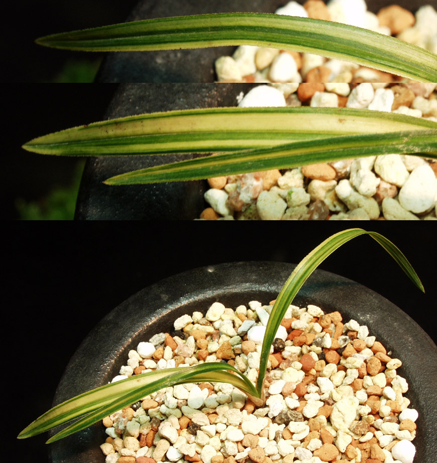 ������ ū������ �� �� �ֽ��ϴ�.