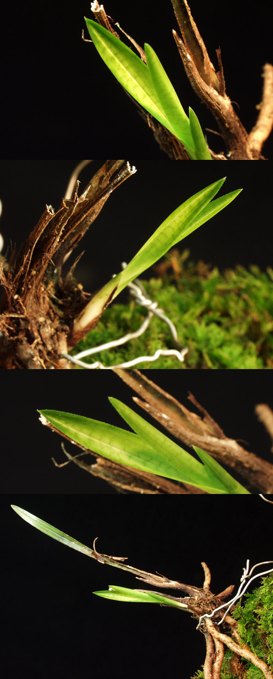 ������ ū������ �� �� �ֽ��ϴ�.