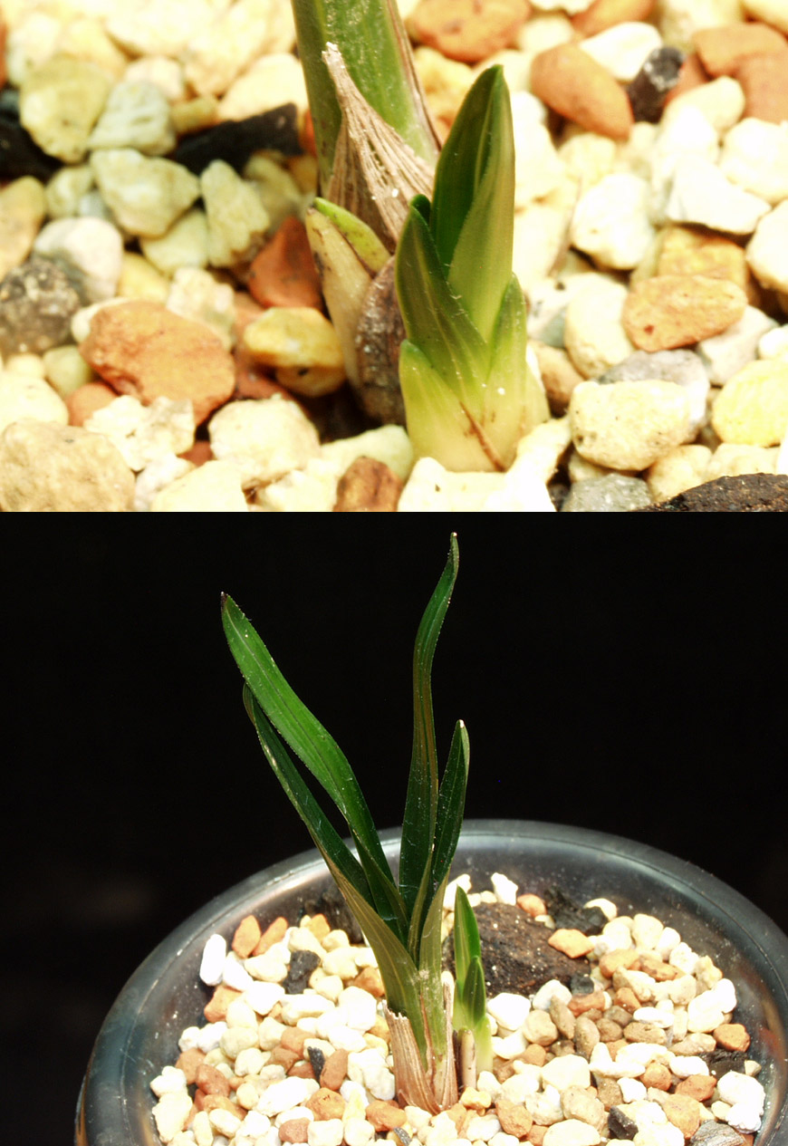 ������ ū������ �� �� �ֽ��ϴ�.