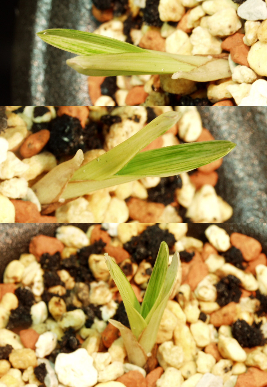 ������ ū������ �� �� �ֽ��ϴ�.