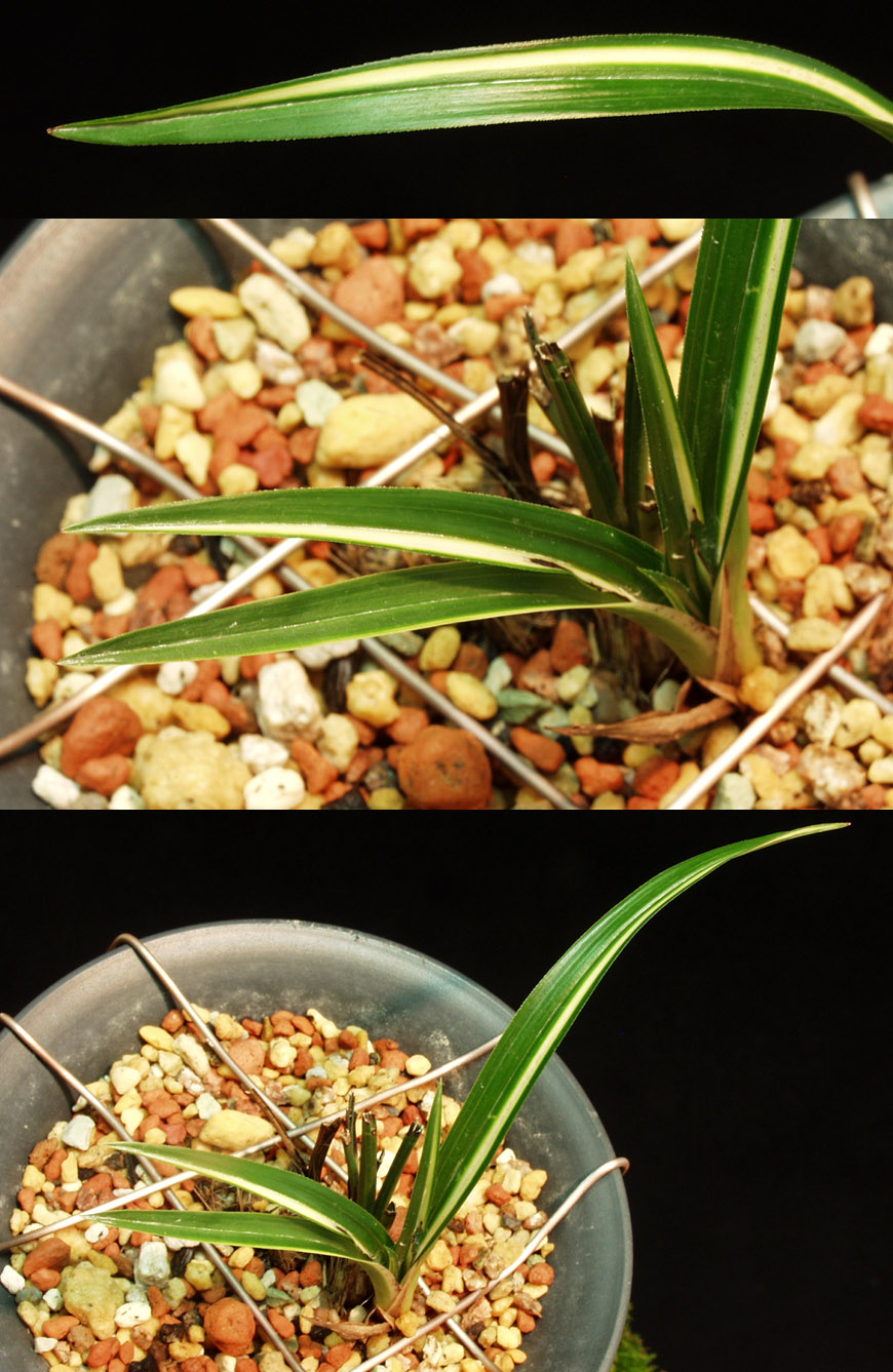 ������ ū������ �� �� �ֽ��ϴ�.