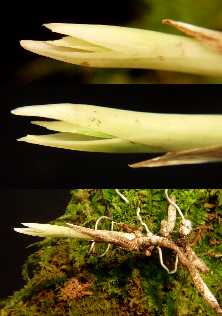 ������ ū������ �� �� �ֽ��ϴ�.