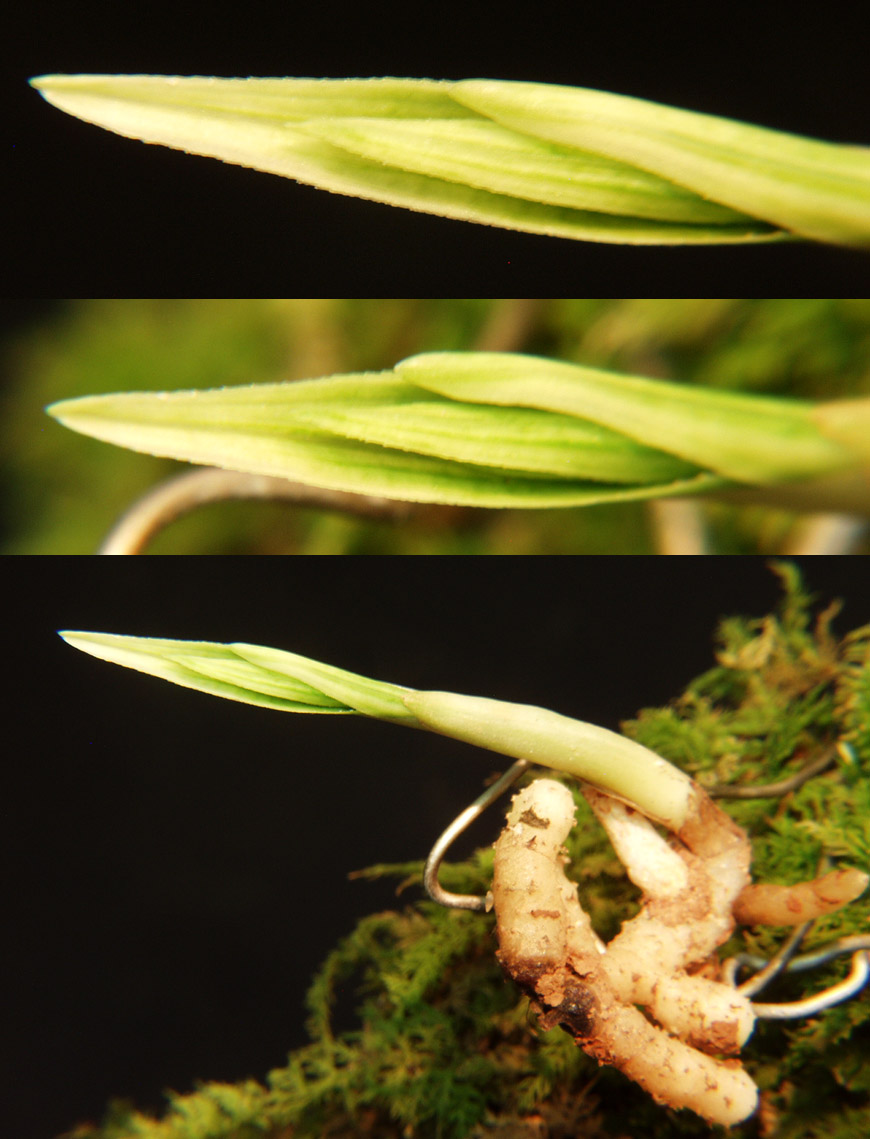 ������ ū������ �� �� �ֽ��ϴ�.