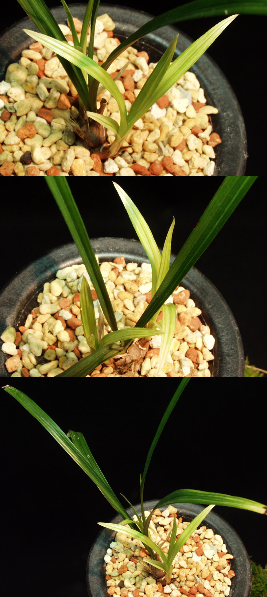 ������ ū������ �� �� �ֽ��ϴ�.