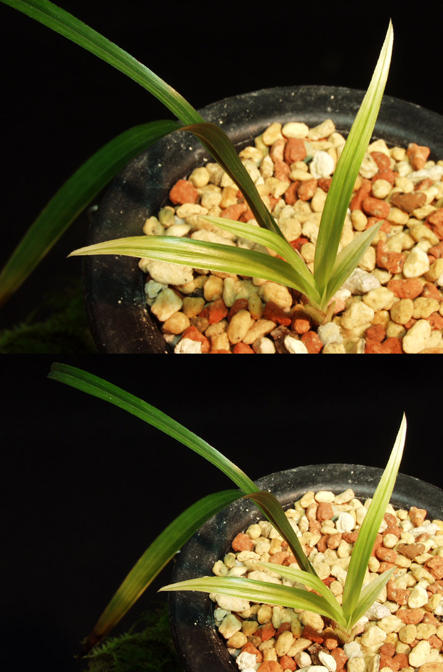 ������ ū������ �� �� �ֽ��ϴ�.